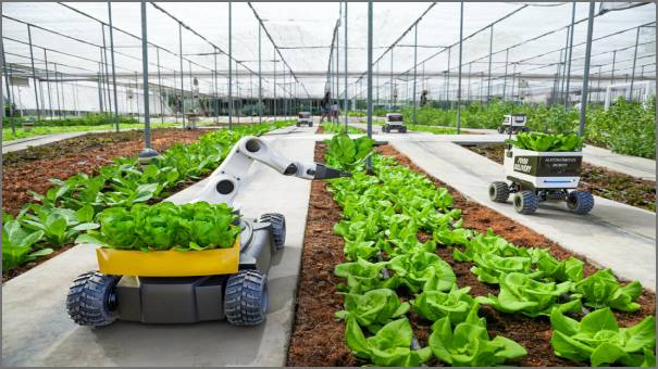 استخدام الروبوتات الزراعية في مهام زراعية