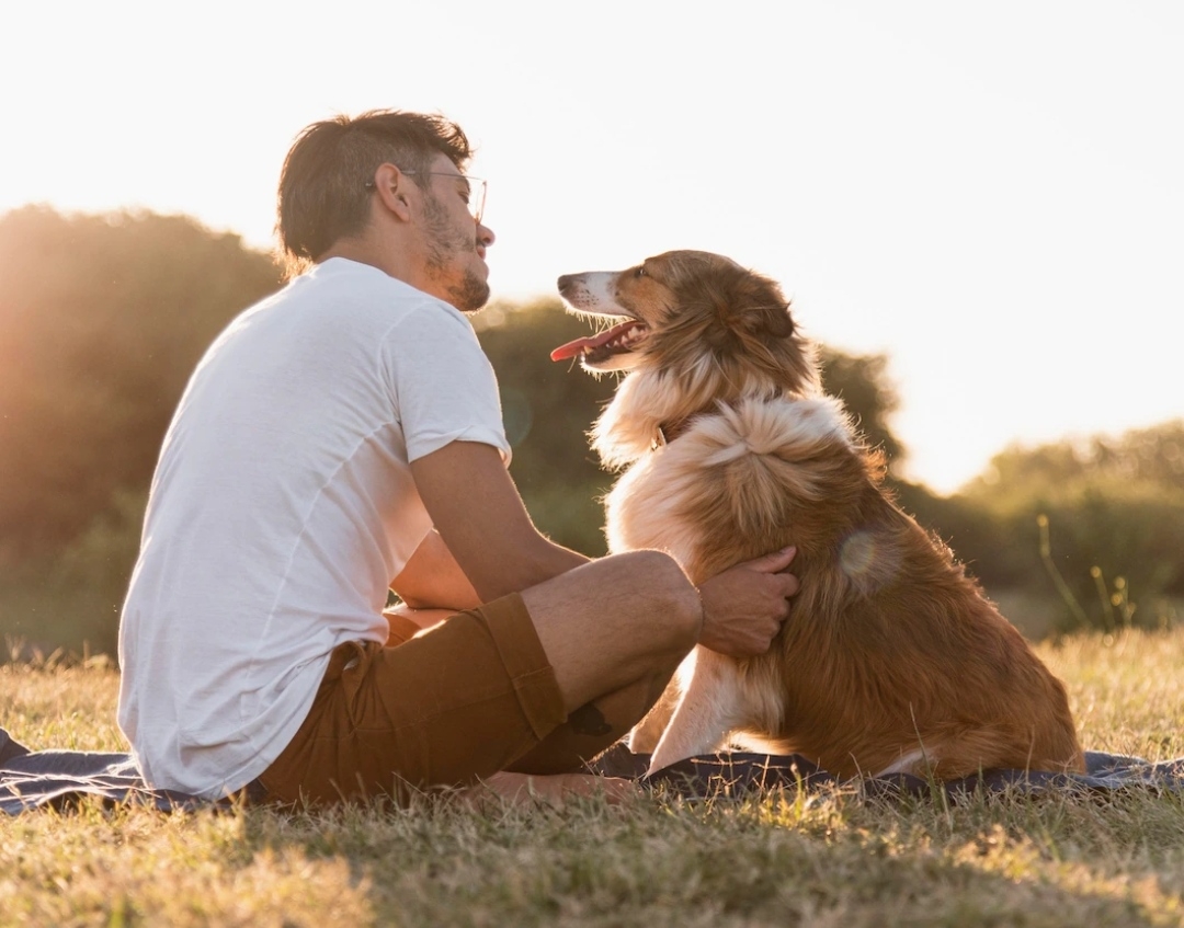 تربية الكلاب