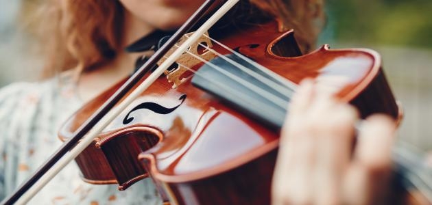 Violin musical instrument