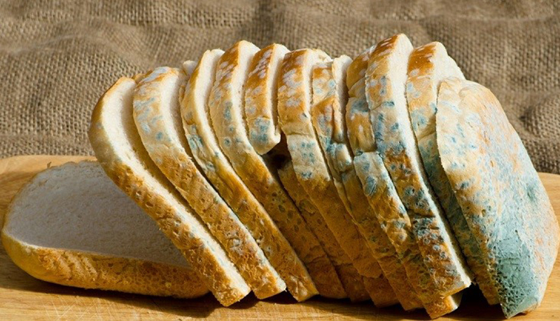 تعفن الخبز
