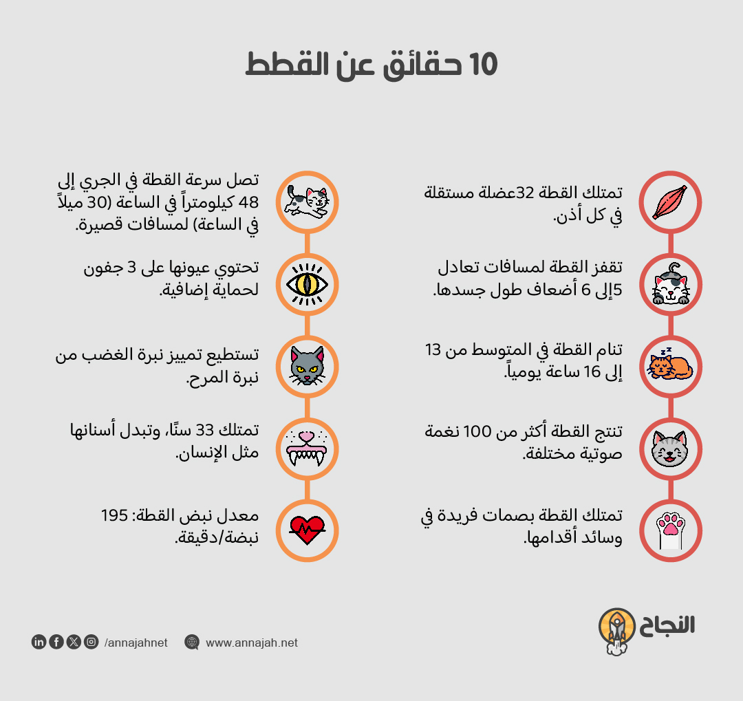 حقائق عن نوم القطط، حواسها، قدرتها على القفز