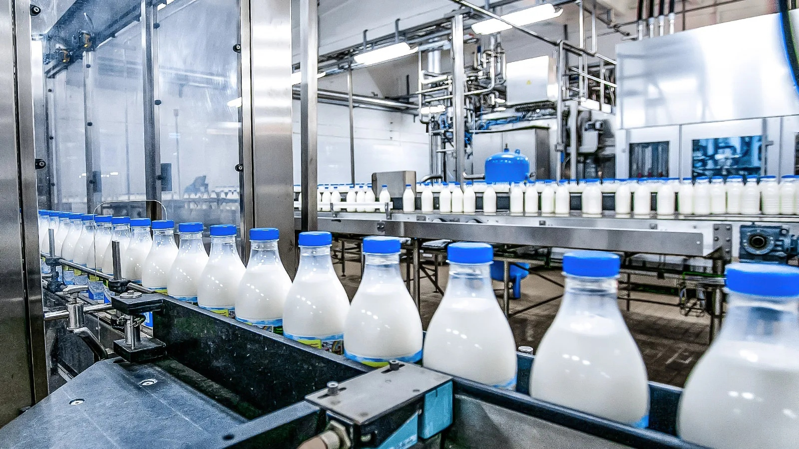 خط إنتاج حليب في مصنع