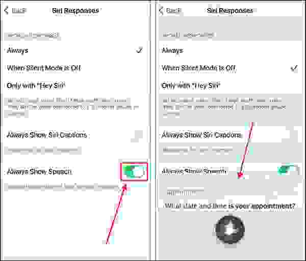 خطوات تفعيل وإعداد خاصية الاستجابة الصوتية (Hey Siri) على هاتف آيفون1