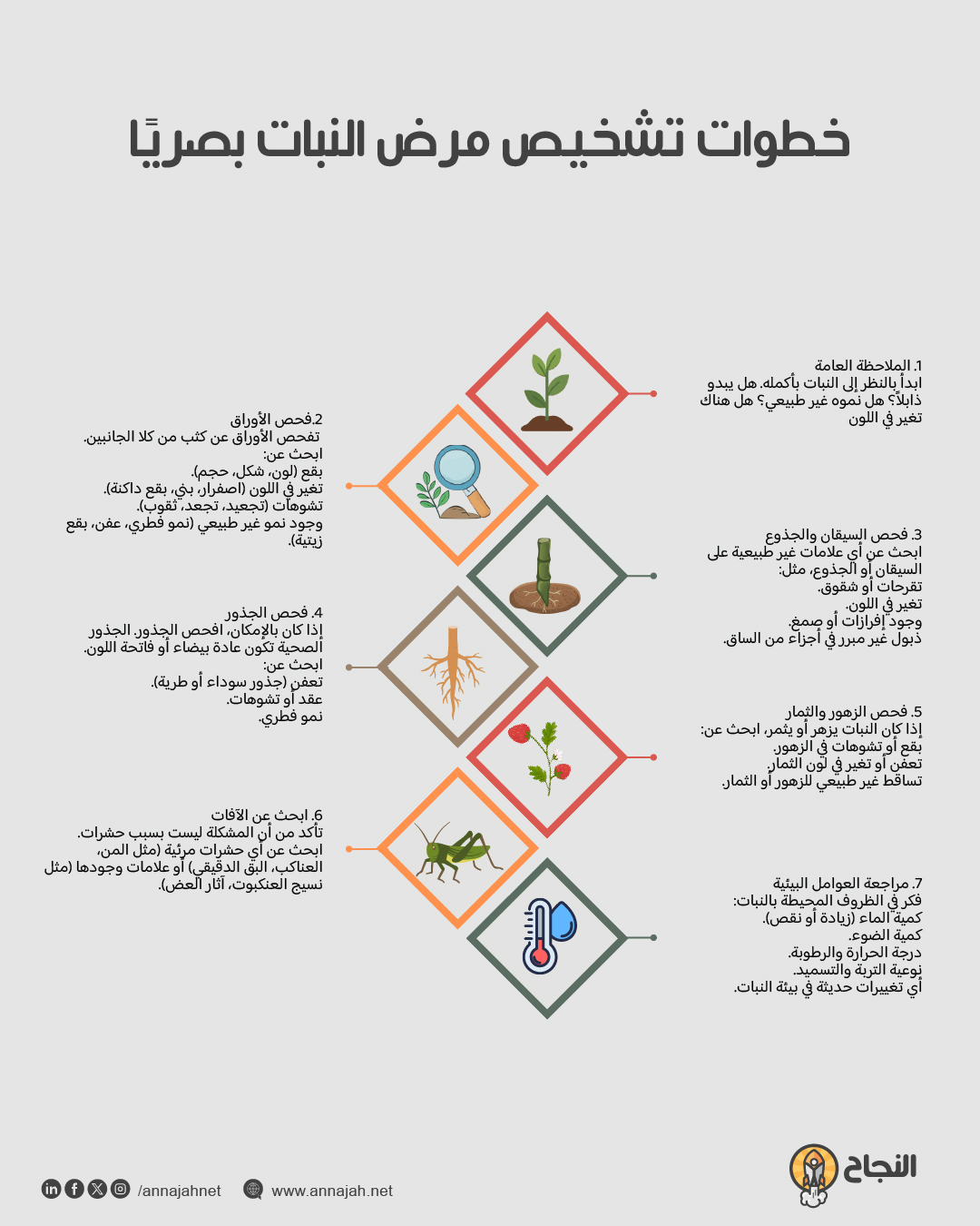 كيفية فحص النبات يدويًا