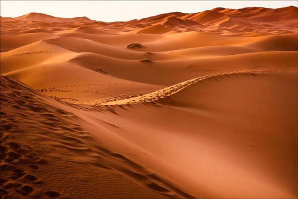 صحراء الربع الخالي موطن الحضارات القديمة، والمعادن النفيسة صحراء الربع الخالي موطن الحضارات القديمة، والمعادن النفيسة