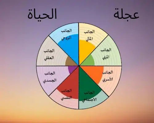عجلة الحياة تقييم شامل لجوانب الحياة