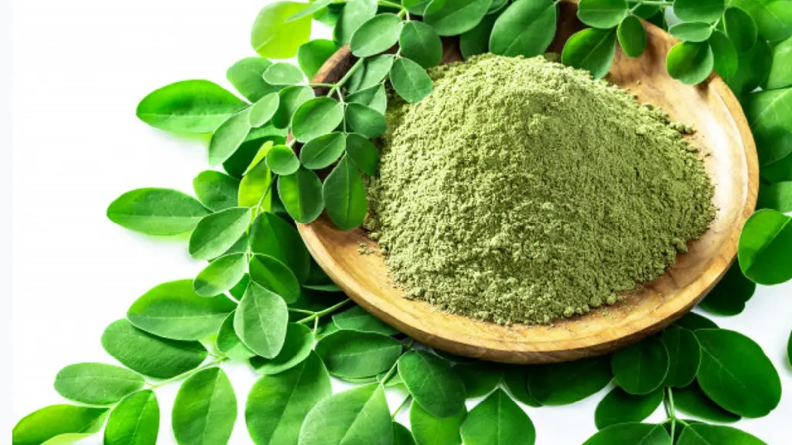 عشبة المورينجا