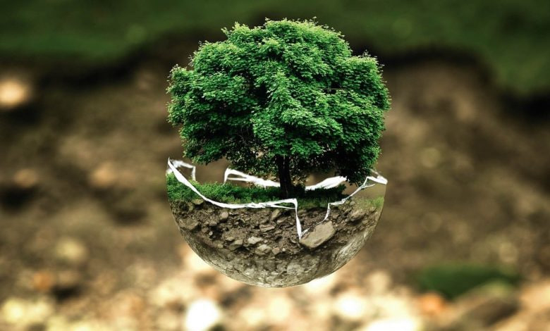 علم البيئة ecology