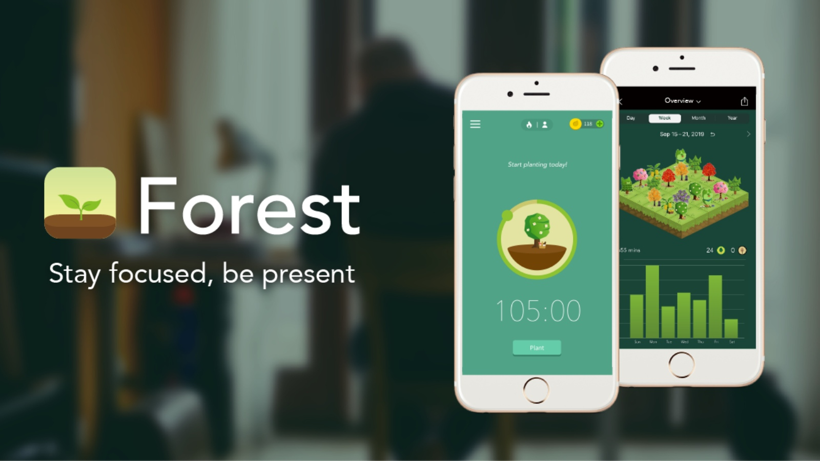 فورست (Forest)