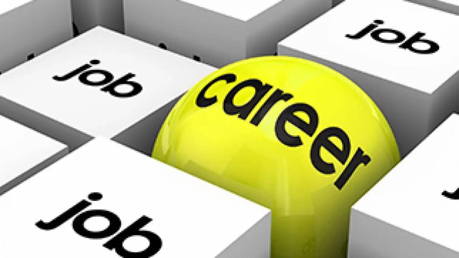 ضمن مكعبات بيضاء مكتوب عليها كلمة JOB تظهر كرة صفراء مكتوب عليها كلمة career