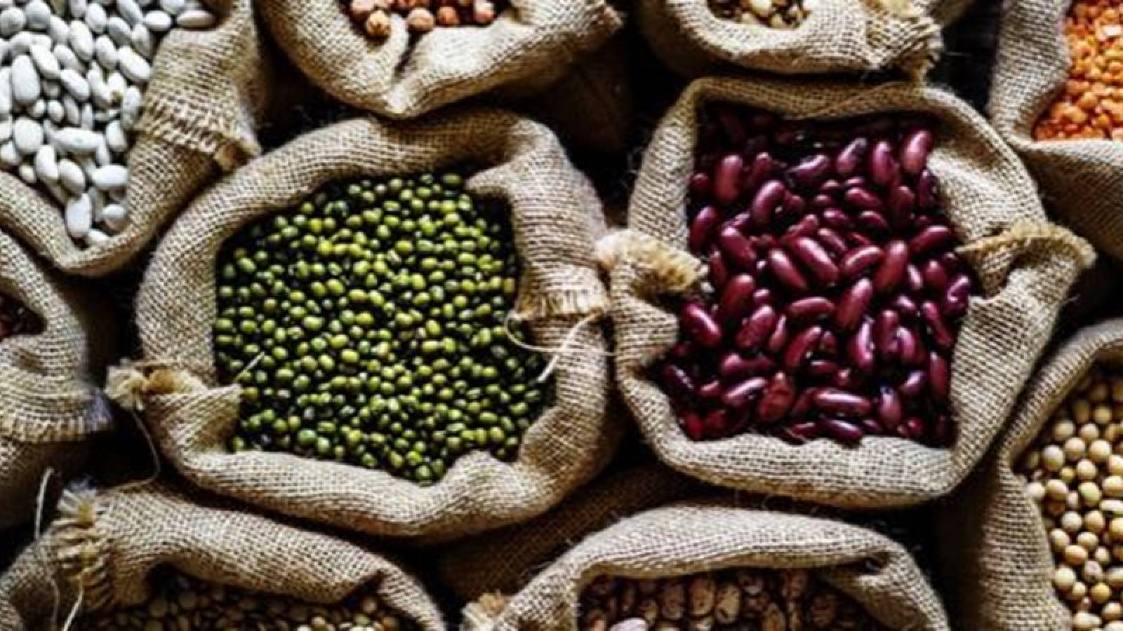 أكياس من الخيش تحتوي على انواع مختلفة من البقوليات كالفصلولياء البيضاء و الحمراء و البازلاء والحمص 