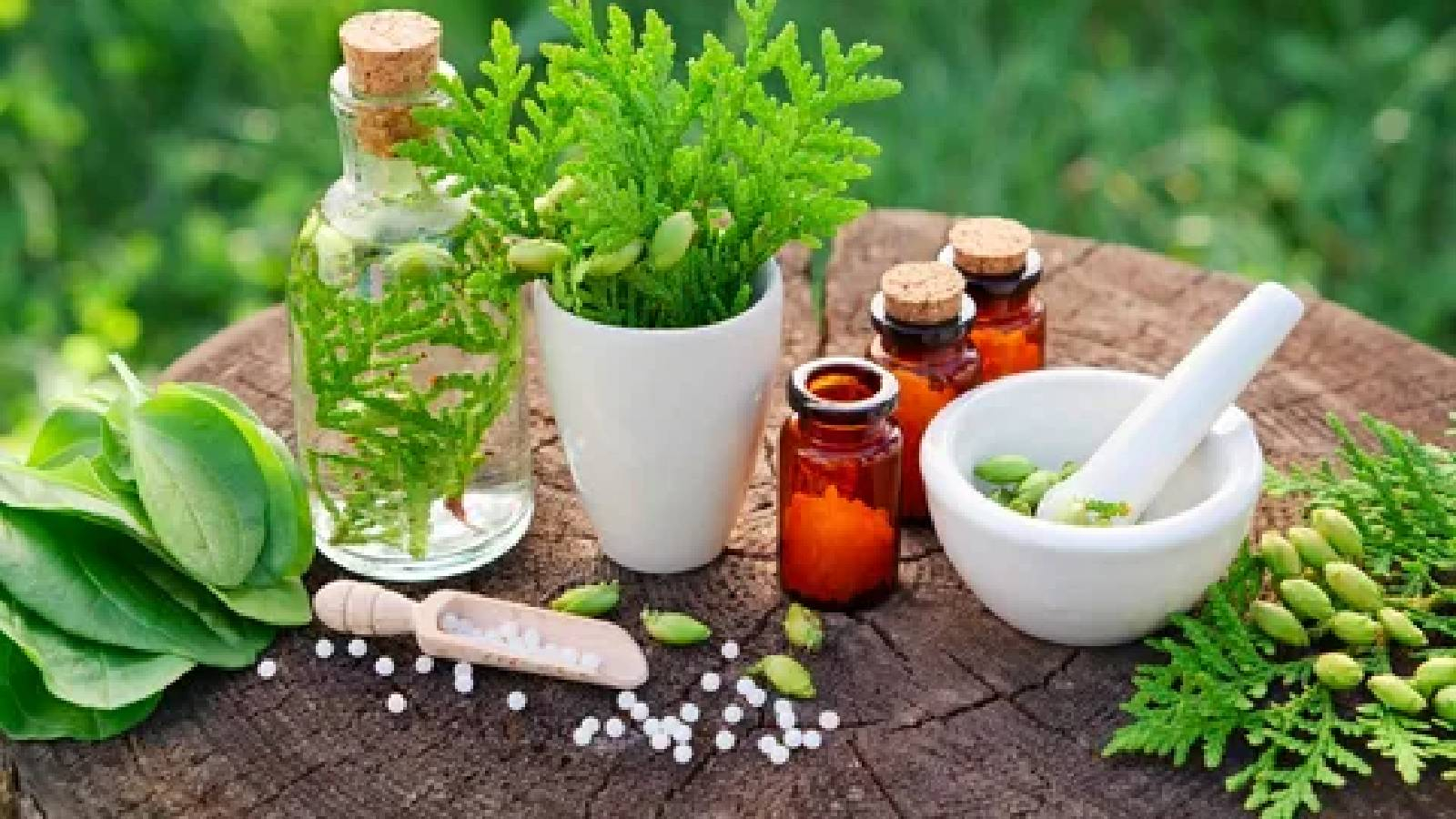 مجموعة أعشاب وقوارير