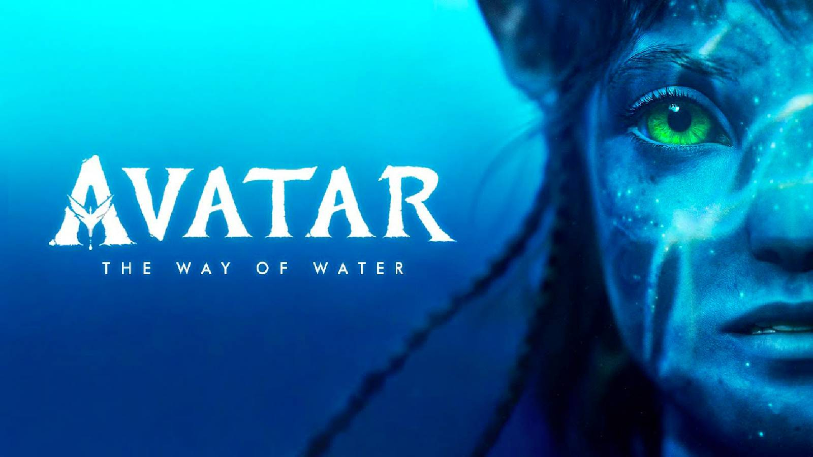 صورة نصف وجه سام ورذينجتن بطل فيلم The Avatar - The Way of Water
