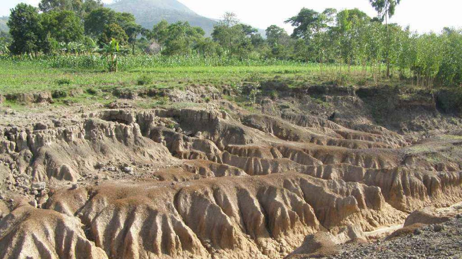 ارض خضراء تظهر على جانبها منطقة تآكلت فيها التربة 