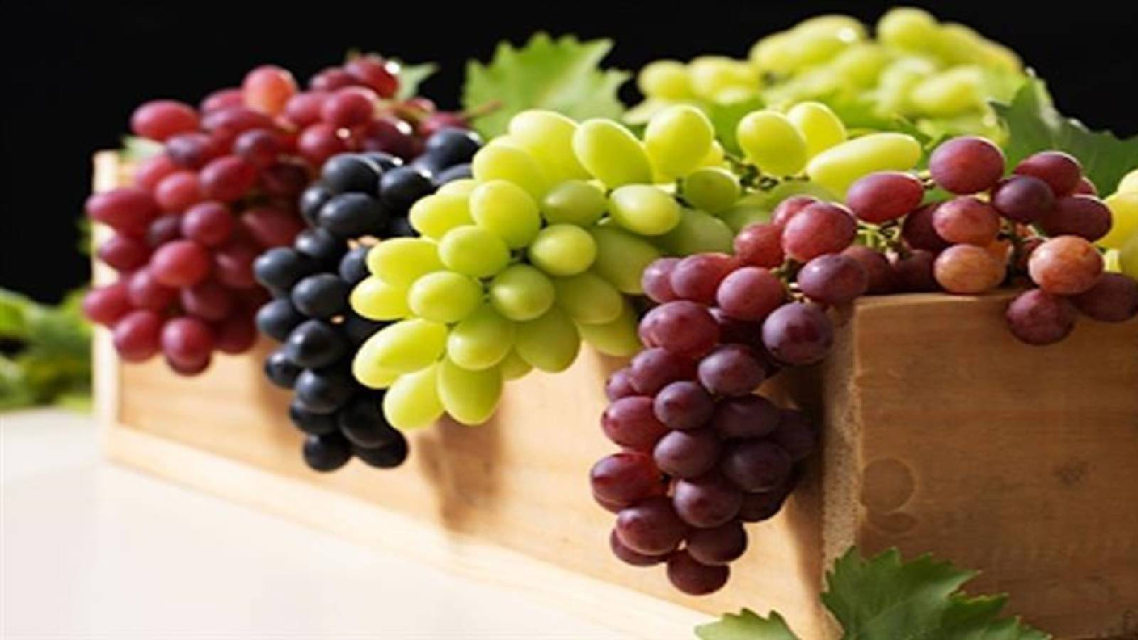 صندوق خشبي تتدلى منه اربع عناقيد من العنب الاول باللون الاحمر و الثاني باللون الاصفر و الثالث باللون الاسود والرابع باللون الاحمر  وتظهر بعض اوراق الدالية