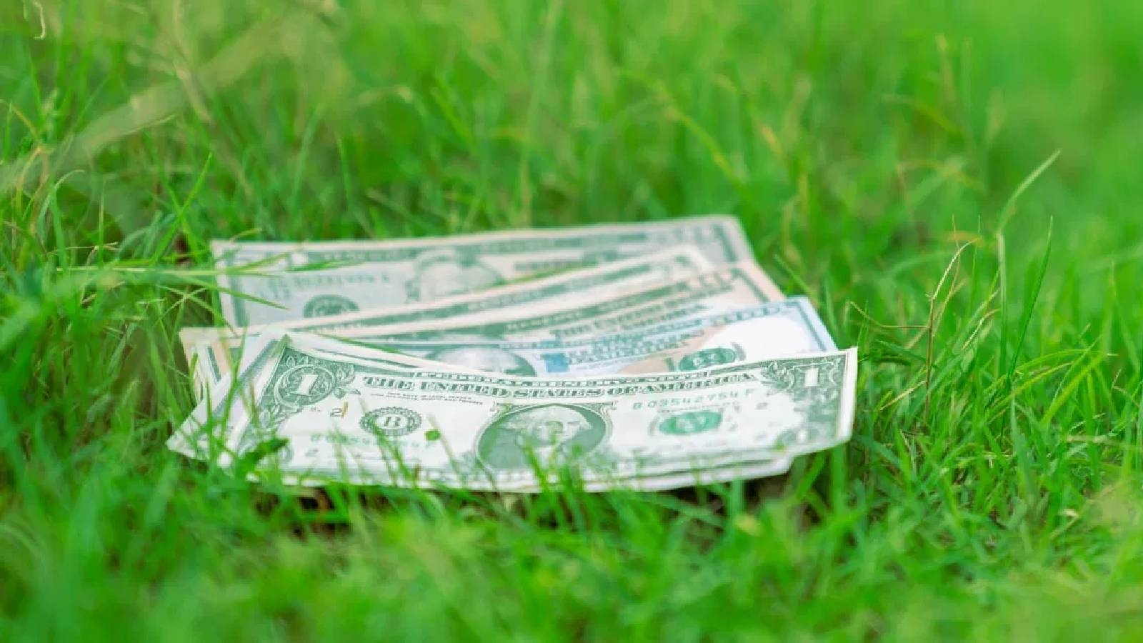 على العشب الأخضر يظهر مجموعة من الاوراق النقدية 