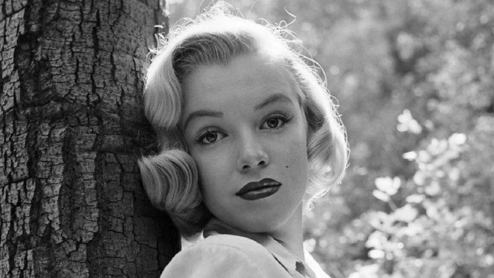 Marilyn Monroe تقف في الحديقة وتسند رأسها على جذع شجرة 