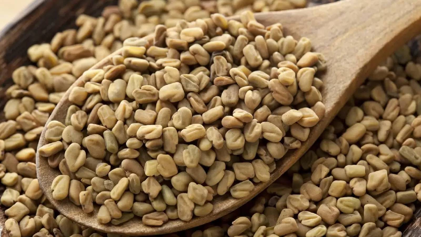 ملعقة خشبية مليئة بحبوب الحلبة على طبق مليئ بالحلبة 