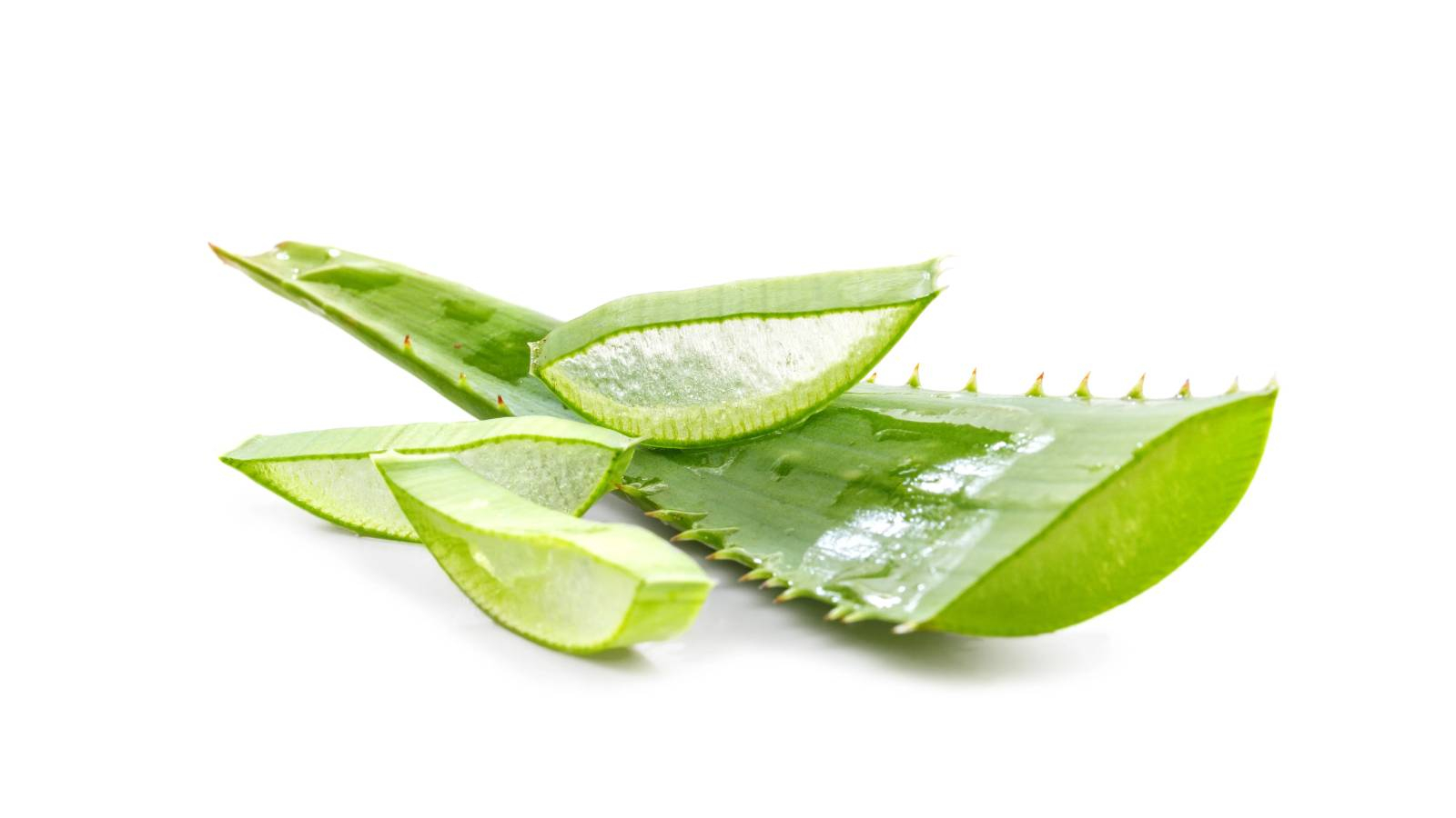 قطعة من ورقة الالوفيرا و ثلاث شرائح منها