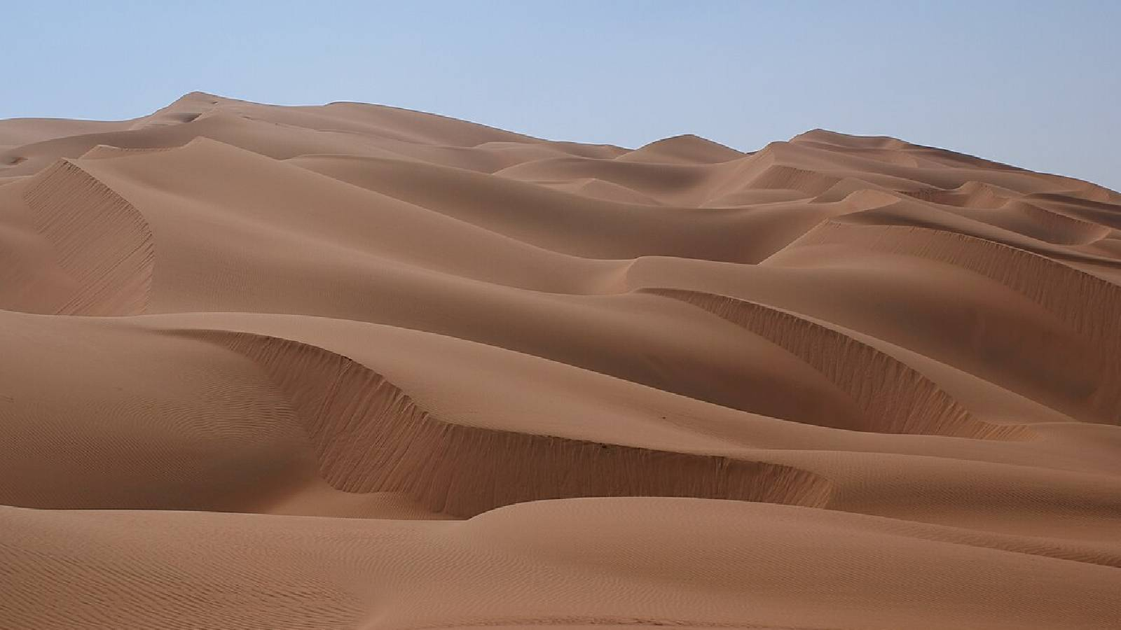 مجموعة من الكثبان الرملية الذهبية في صحراء الربع الخالي في الجزيرة العربية 