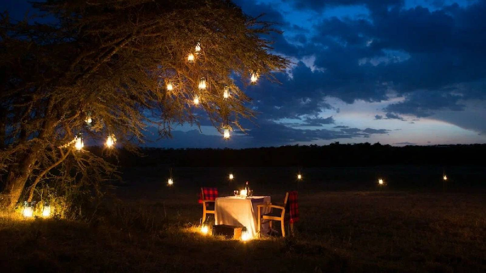 طاولة عشاء في الهواء الطلق تحت شجرة تزينها قناديل الضوء 