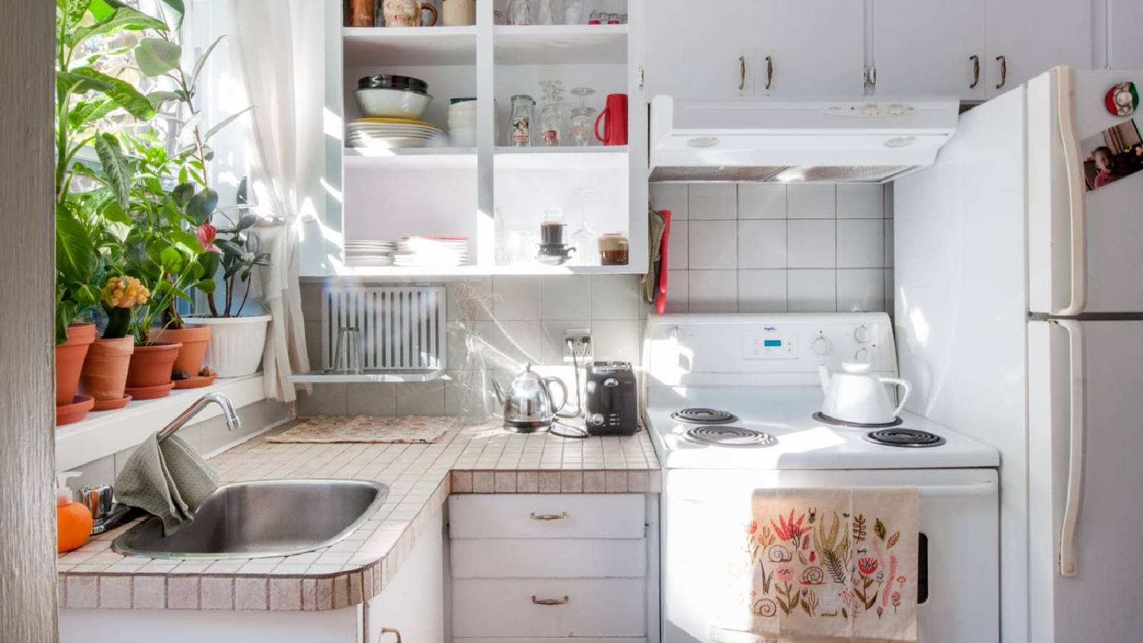 مطبخ باللون الابيض وفيه استغلال المساحات الضيقة بشكل جيد يوجد براد و فرن وحوض لغسل الصحون كما يوجد نباتات على النافذه