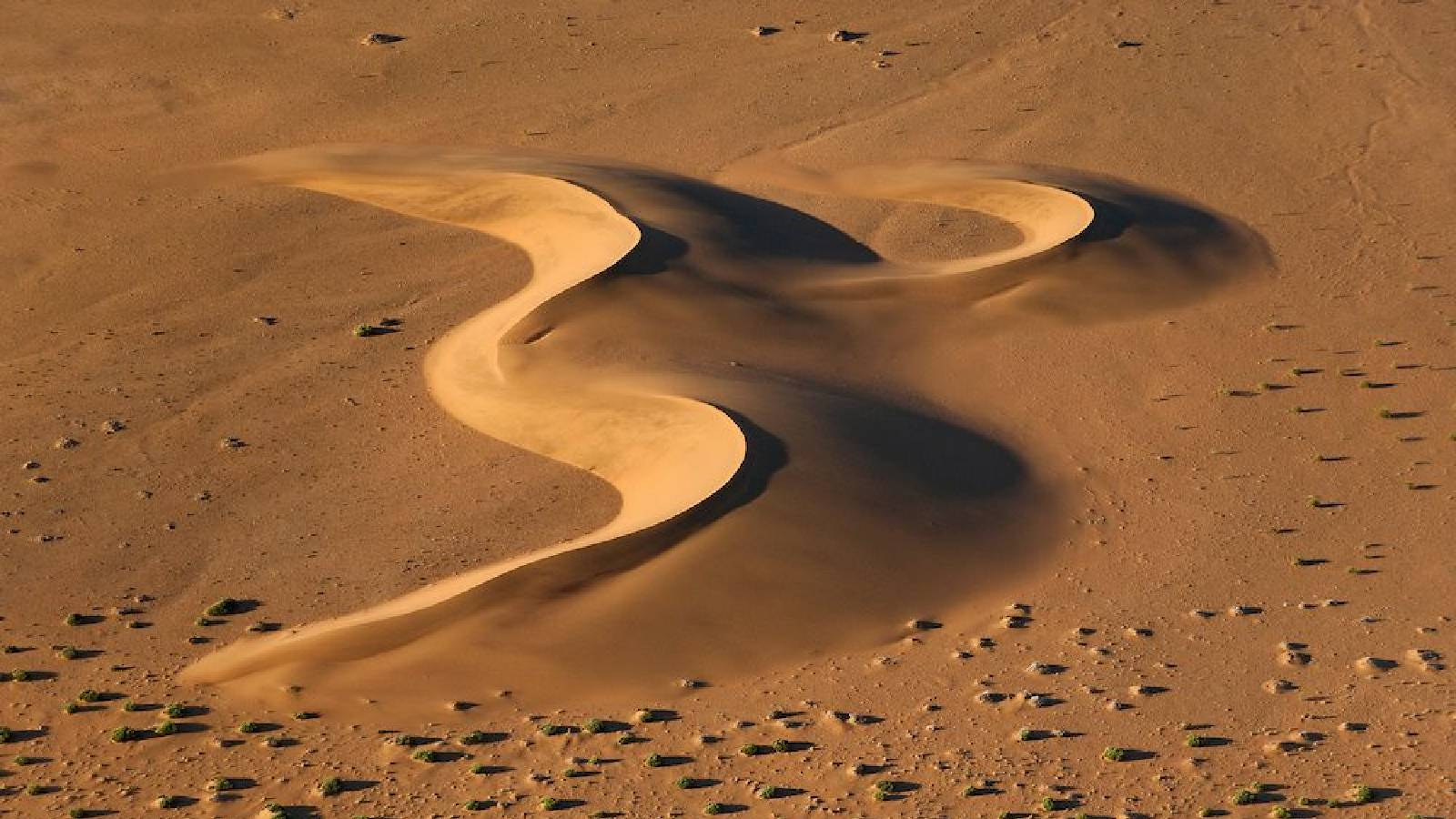 في صحراء رملية تظهر الكثبان الهلالية على شكل هلال 