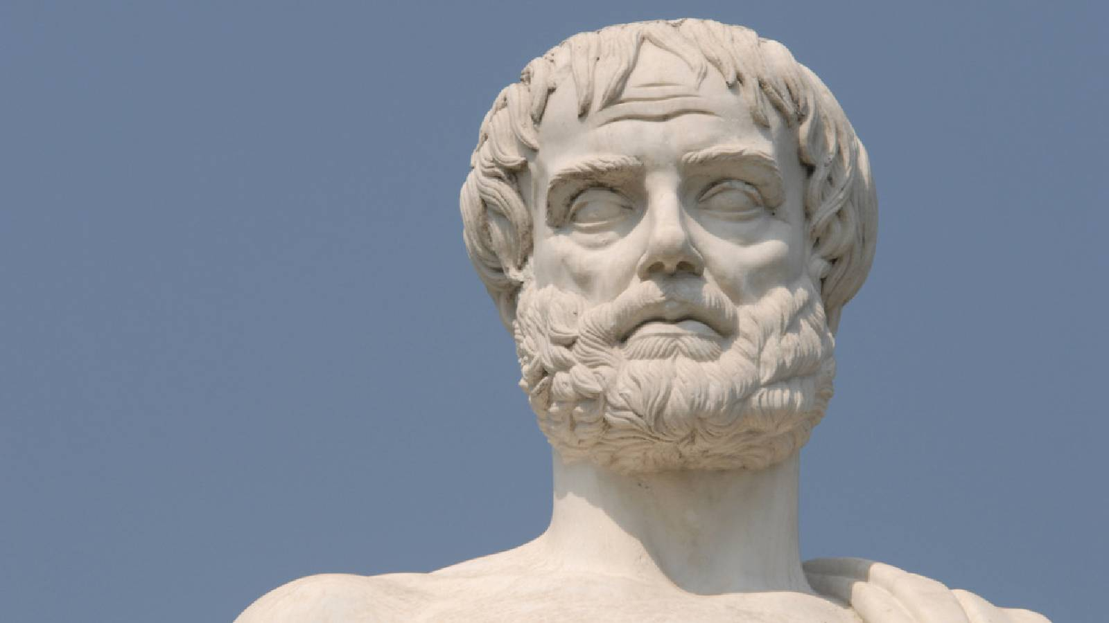 على خلفية السماء الزرقاء يظهرالجزء العلوي من تمثال من الرخام الابيض يجسد شخصية ارسطو