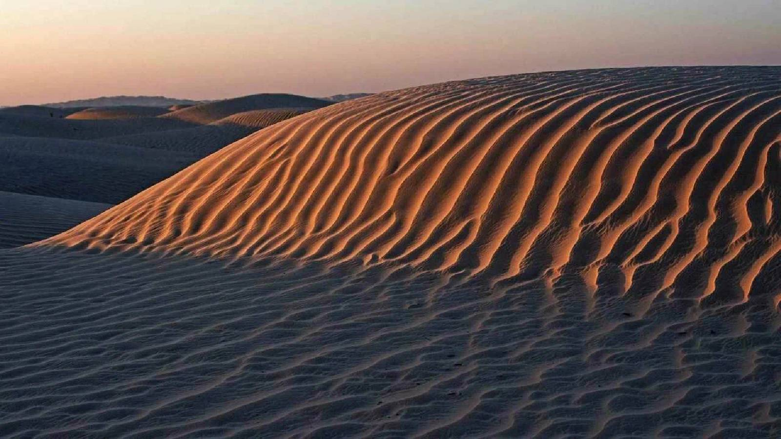 صحراء تظهر فيها الكثبان الرملية على شكل طولي 