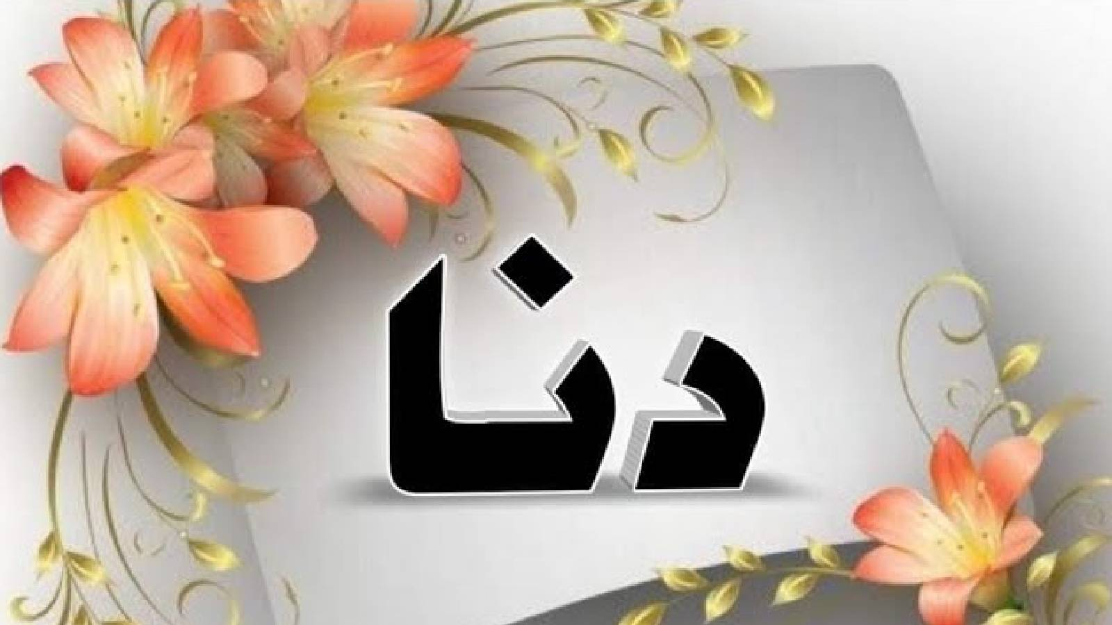 على خلفية مزينة بالزهور البرتقالية يظهر اسم دنا باللون الاسود 