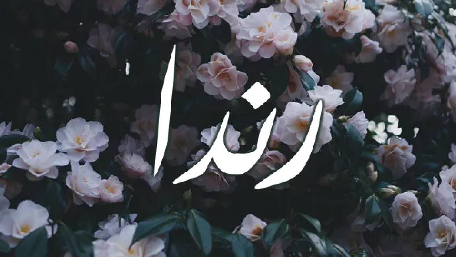 على خلفية شجرة ورد يظهر اسم رندا باللون الابيض 