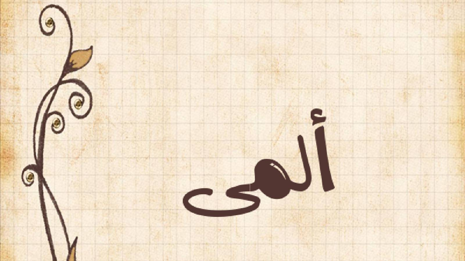 على خلفية رمادية يظهر اسم المى باللون الاسود بجانبه رسم لغصن وردة