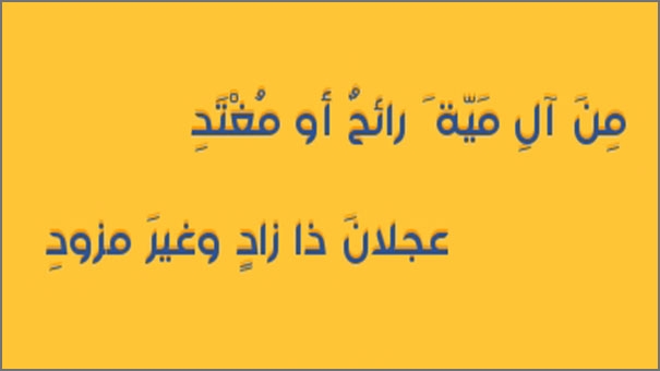 قصيدة أمن آل مية رائح أو مغتد
