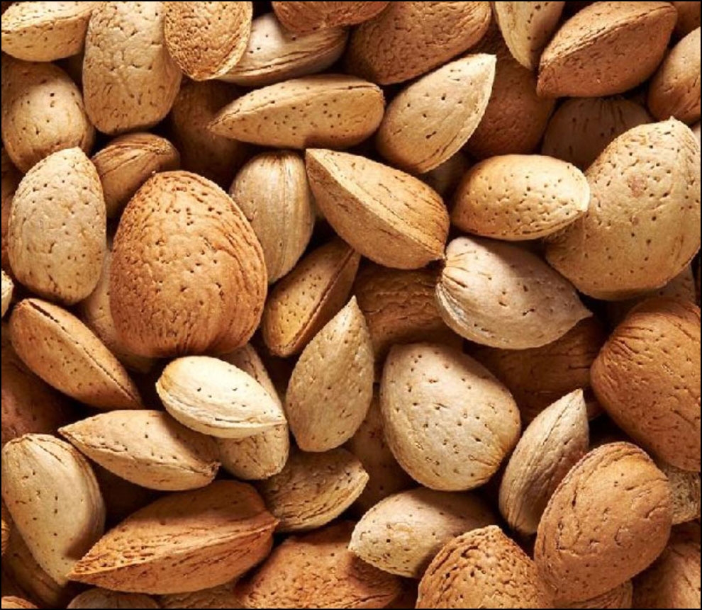 لوز نون باريل