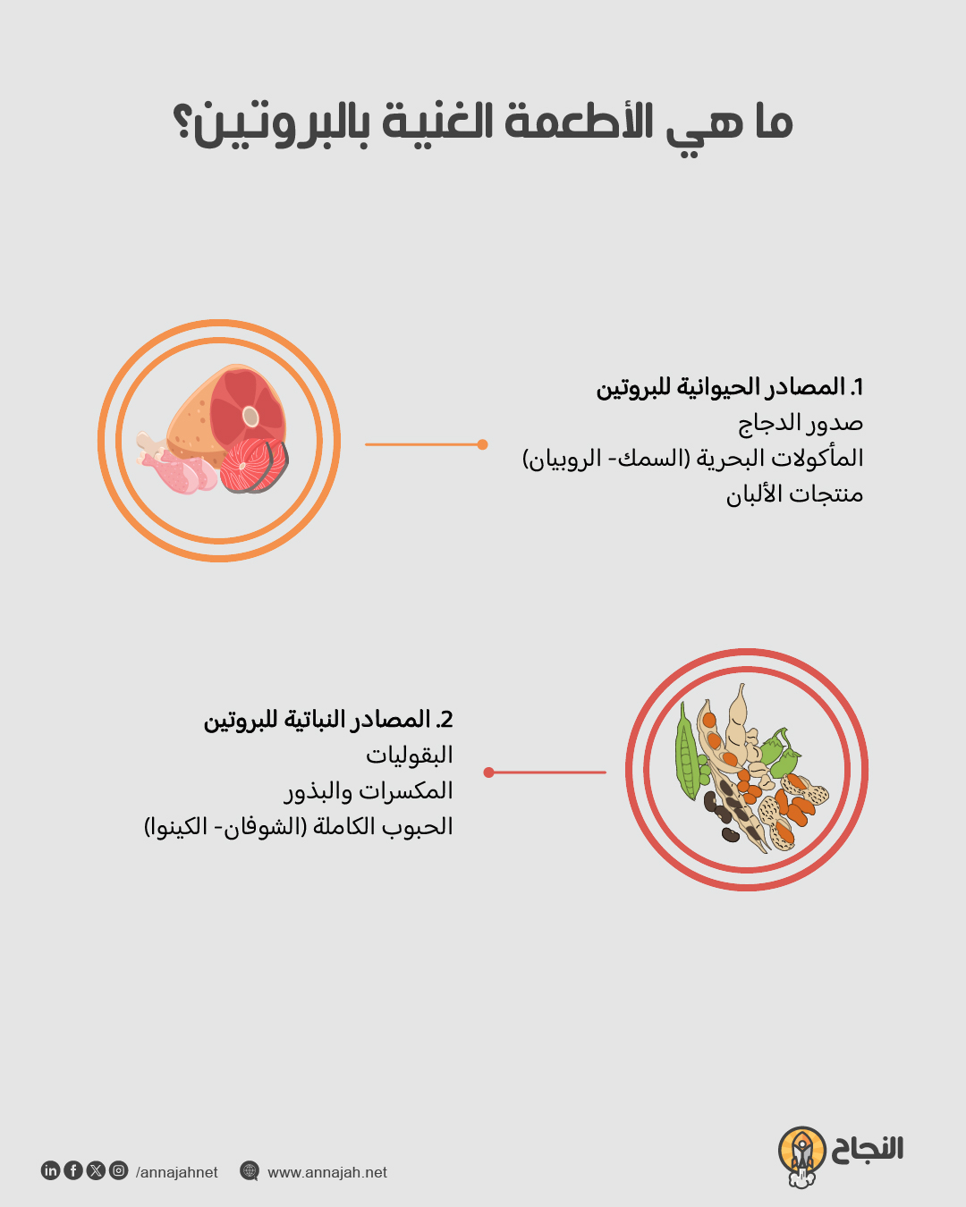 ما هي الأطعمة الغنية بالبروتين؟