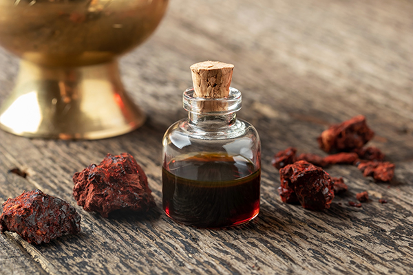 ما هي عشبة دم الأخوين؟