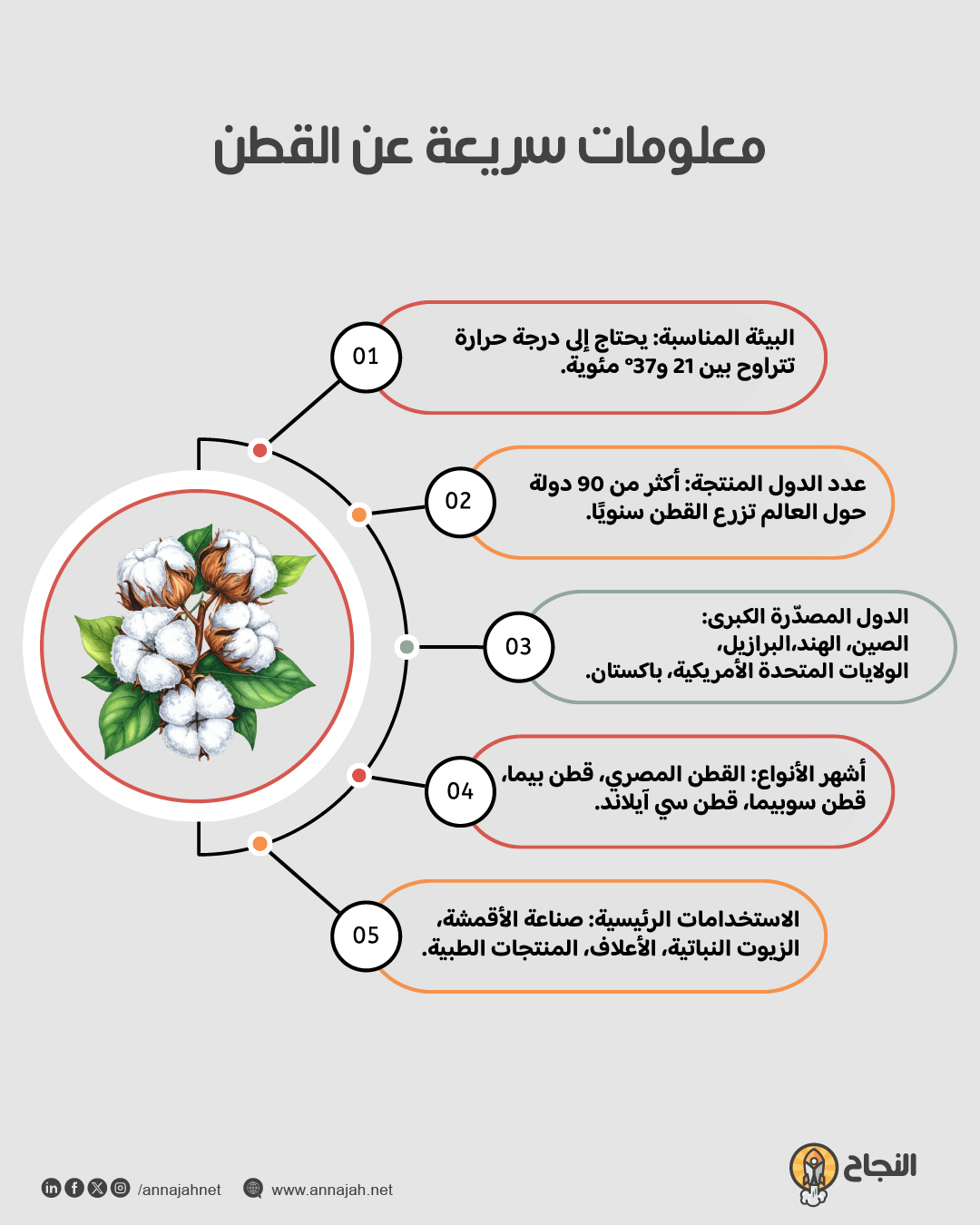 معلومات سريعة عن القطن
