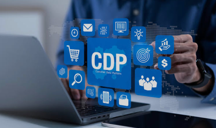 منصات إدارة بيانات العملاء (CDPs)