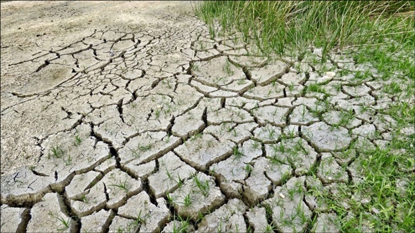 نسبة التصحُّر في العالم