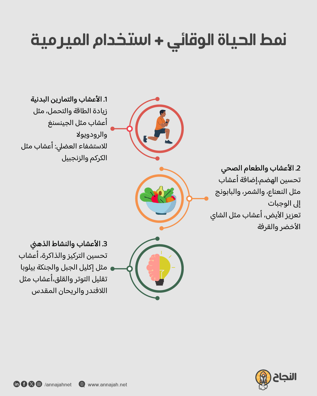 نمط حياة داعم لتعزيز فوائد الميرمية للدماغ
