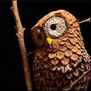 نوع خشب Wood نوع خشب Wood