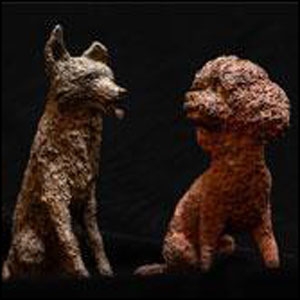 نوع فلز نوع فلز