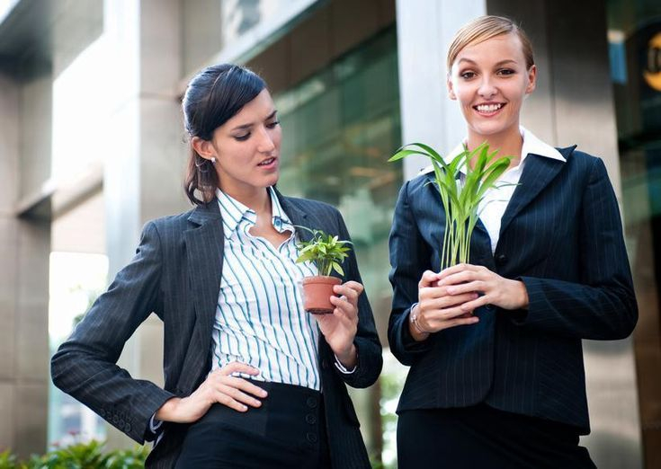 هوس المقارنة هوس المقارنة