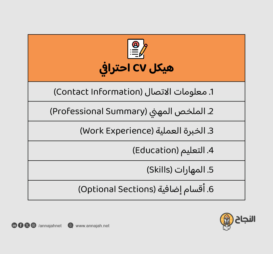 إنفوجرافيك هيكل CV احترافي
