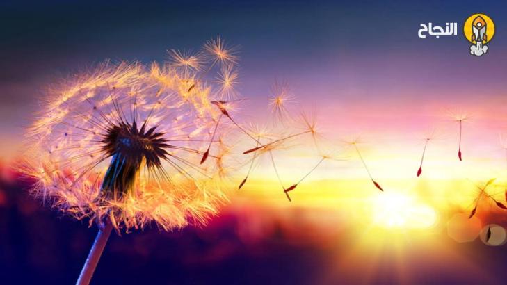 4 دروس هامة تتعلمها عندما تتجاوز الماضي