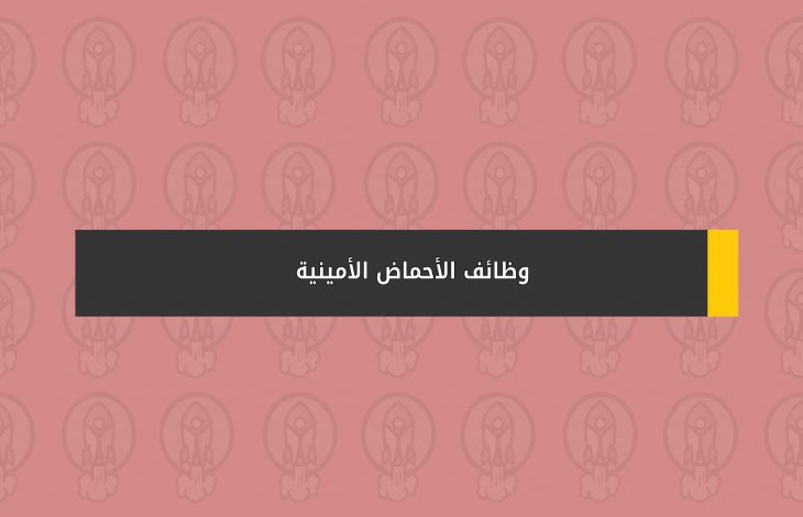 وظائف الأحماض الأمينية