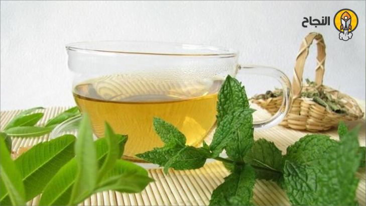فوائد الحلبه واليانسون والنعناع