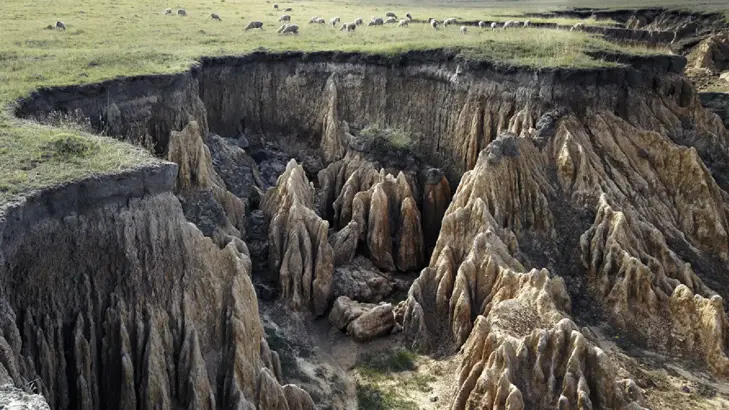 التجوية: أنواعها وعواملها وأثرها في التضاريس