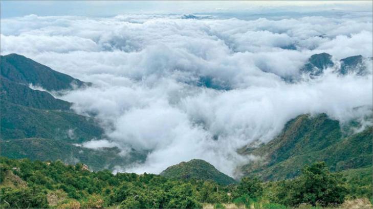 السياحة في عسير