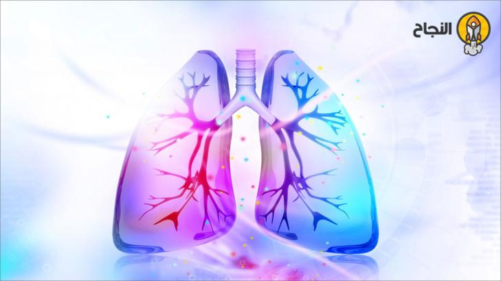 أُسس عملية التنفس